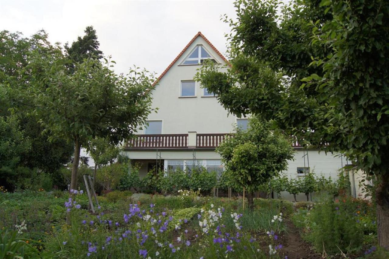 Pension Elbblick Sabine Zuschke Meissen Exterior photo